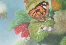 Художественные произведения, в которых присутствуют или упоминаются крысы и мыши